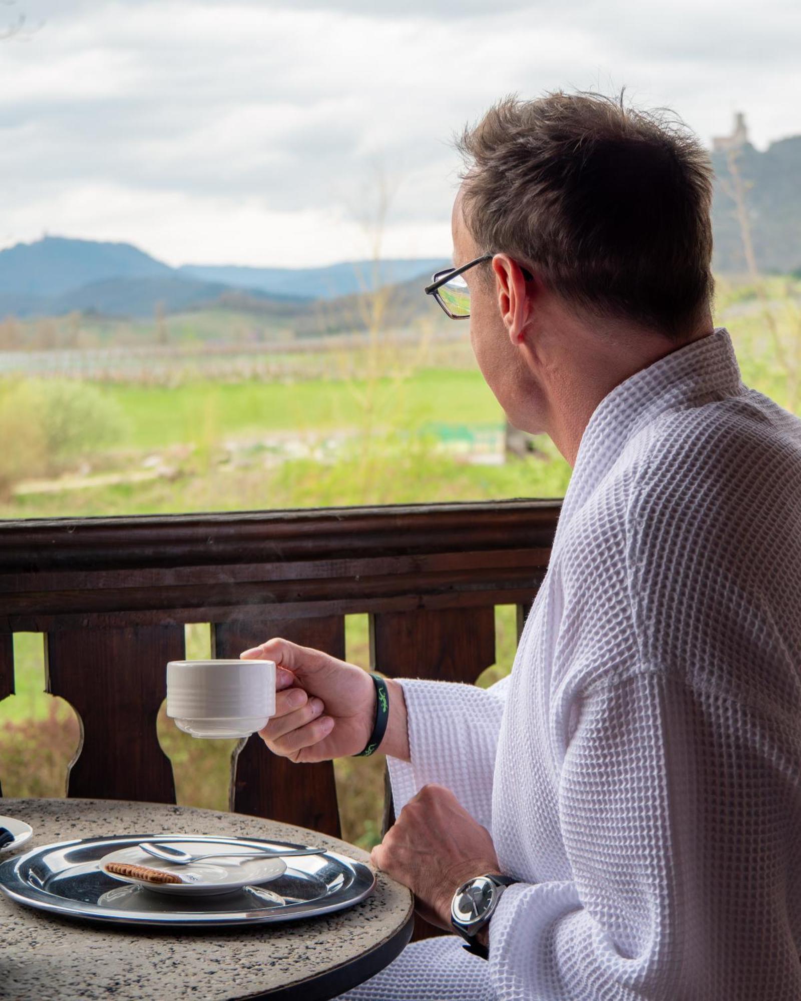 Hotel Restaurant Verger Des Chateaux, Route Des Vins Haut-Koenigsbourg ディーフェンタール エクステリア 写真
