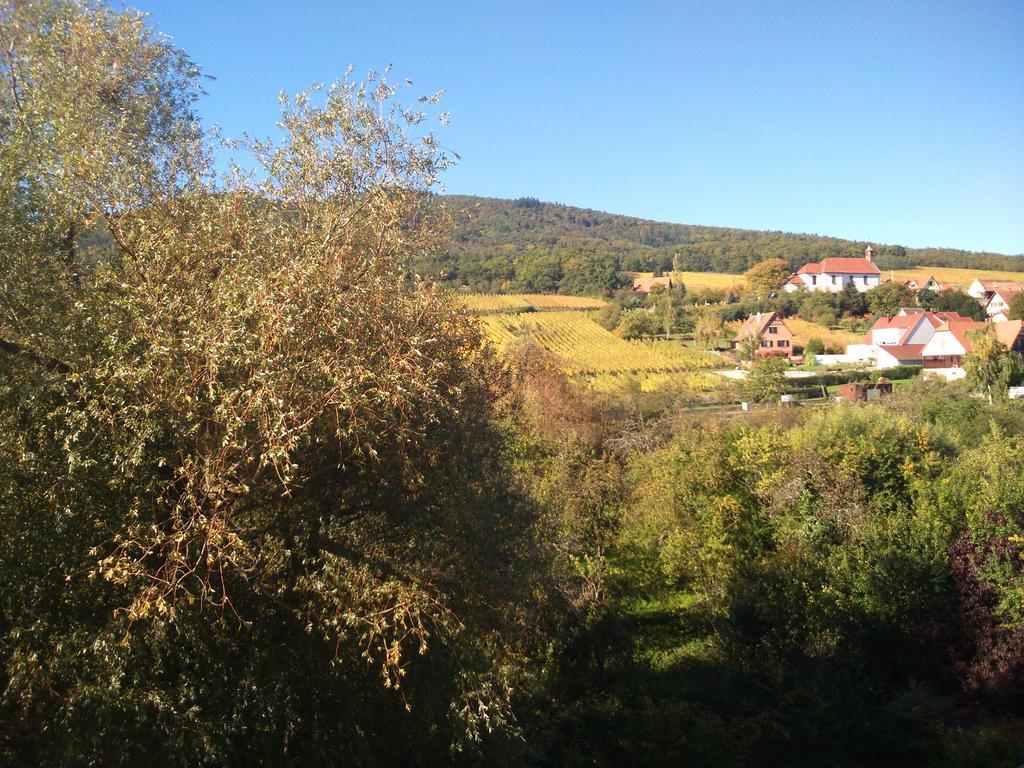 Hotel Restaurant Verger Des Chateaux, Route Des Vins Haut-Koenigsbourg ディーフェンタール エクステリア 写真