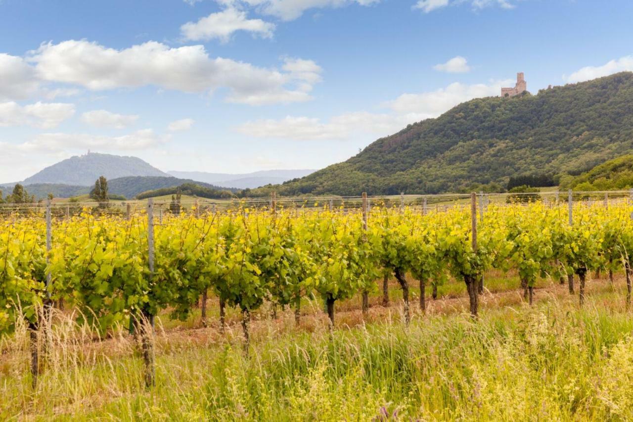 Hotel Restaurant Verger Des Chateaux, Route Des Vins Haut-Koenigsbourg ディーフェンタール エクステリア 写真